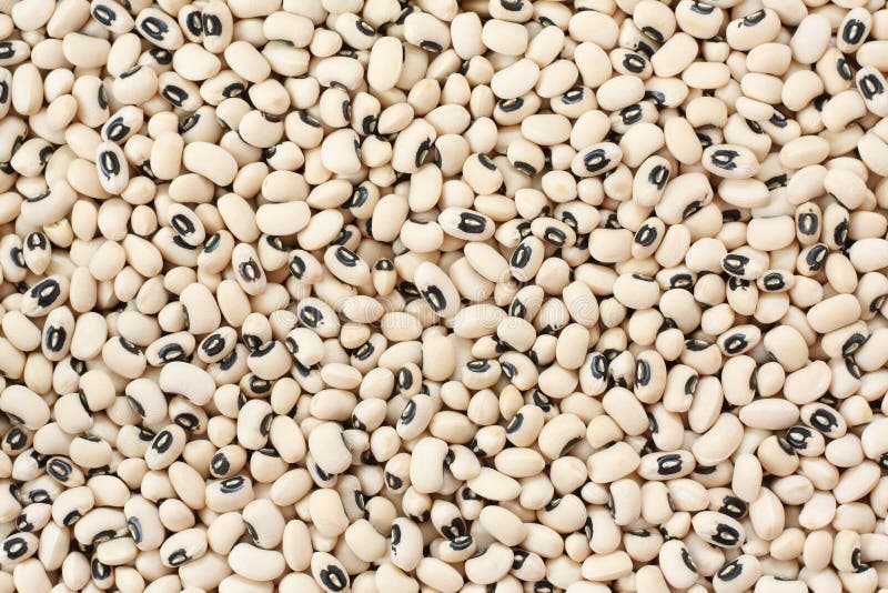 Black Eyed Beans stock image. Image of healthy, legume 17977245