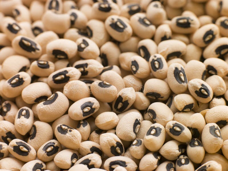 Black Eyed Beans stock photo. Image of ingredients, colour 7230284