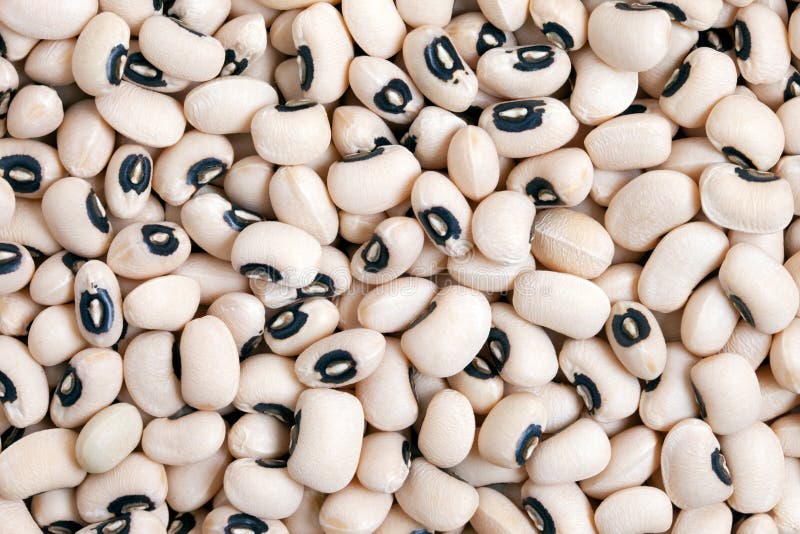 Black Eyed Peas stock photo. Image of nutrition, uncooked 23609076