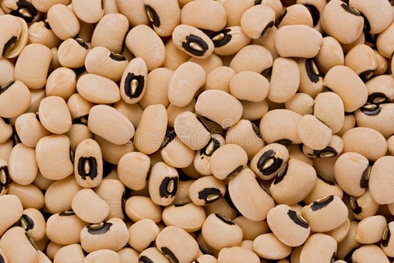 Blackeyed Peas (Vigna Unguiculata) Stock Photo Image of texture