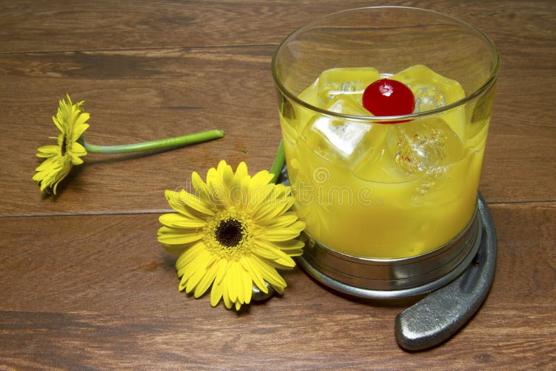 Black Eyed Susan cocktail, official drink of the Preakness Stakes, with the official flower - the gerber daisy or black eyed susan - and a cast iron horseshoe on wood planks. Black Eyed Susan cocktail, official drink of the Preakness Stakes, with the official flower - the gerber daisy or black eyed susan - and a cast iron horseshoe on wood planks