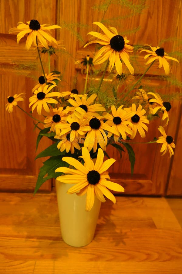 Black-Eyed Susans provide a beautiful Summer bouquet royalty free stock image