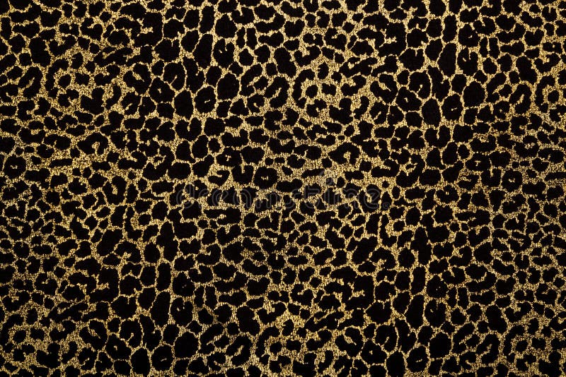 Cheetah Print Fabric Wallpaper and Home Decor  Spoonflower