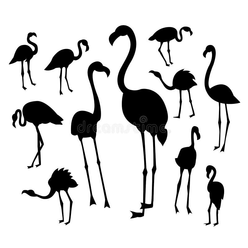 Silhouettes Of Pink Flamingo Stock Vector - Illustration of group ...