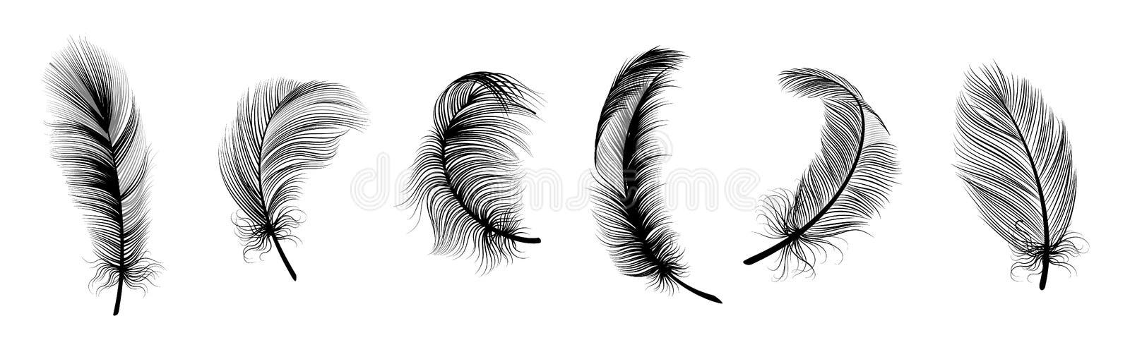 Chalk Drawing Feather Stock Illustrations – 1,521 Chalk Drawing Feather  Stock Illustrations, Vectors & Clipart - Dreamstime