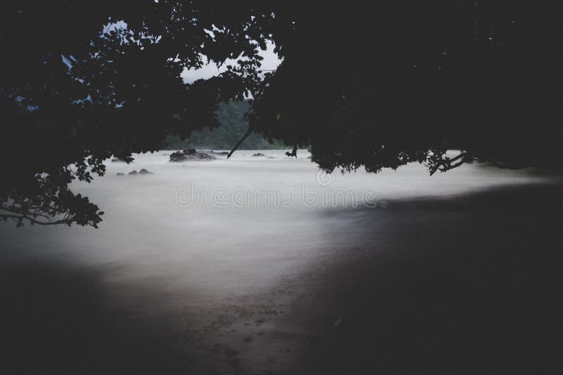 Black Forest Above Of Body Of Water Illustration Free Public Domain Cc0 Image