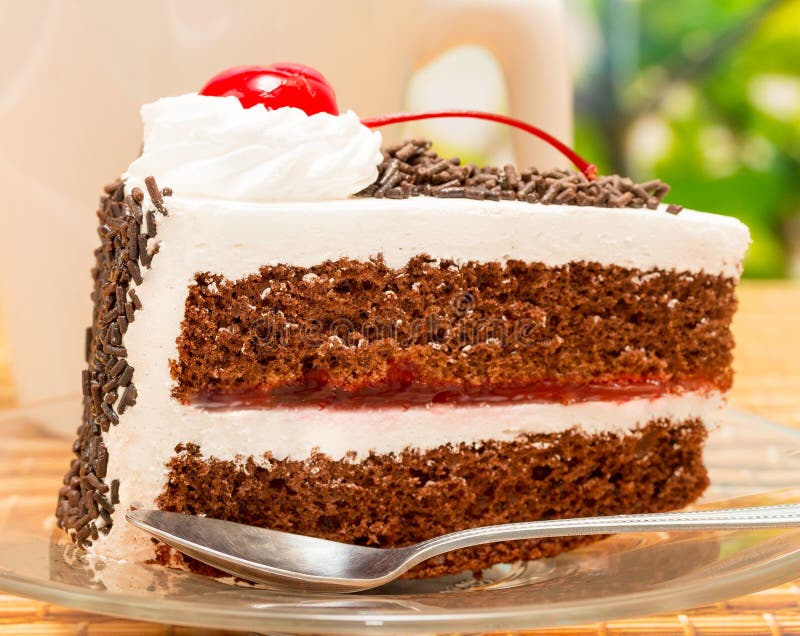 Black Forest Gateau Means Delicious Choco And Chocolates