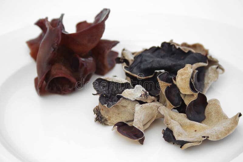 Black fungus stock photo. Image of natural, cloud, fungus 56888556