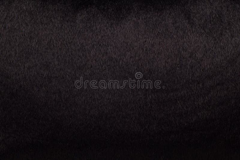 Black Fur - background.