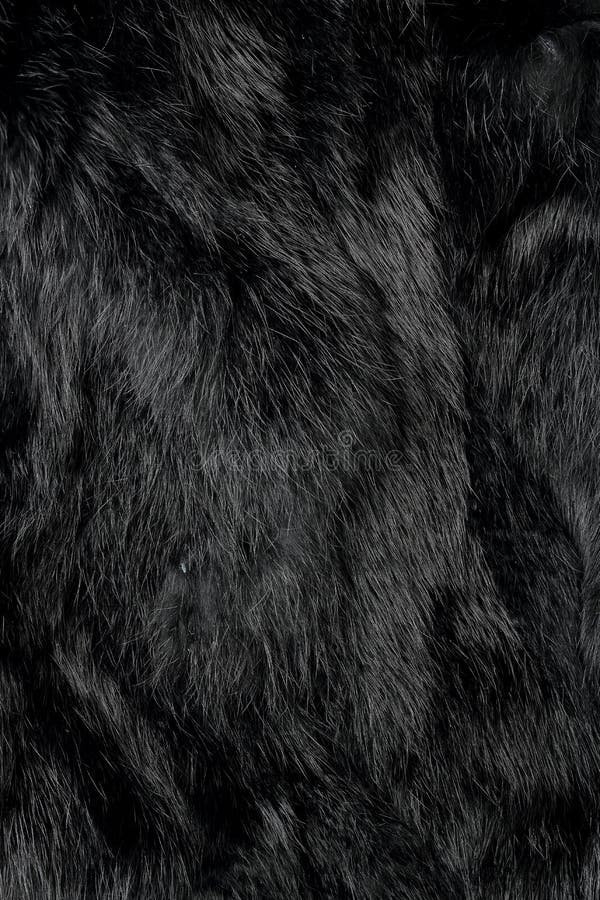 Black fur stock photo. Image of abstract, background - 53912780