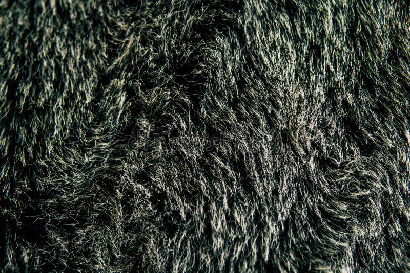 Texture Black fur stock image. Image of fluffy, abstract - 118486687