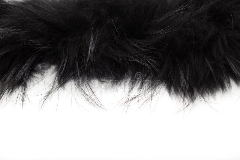 Black fur Stock Photo by ©costasz 72469633