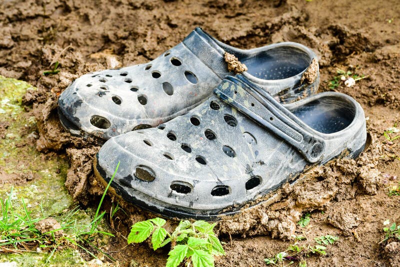 crocs stock