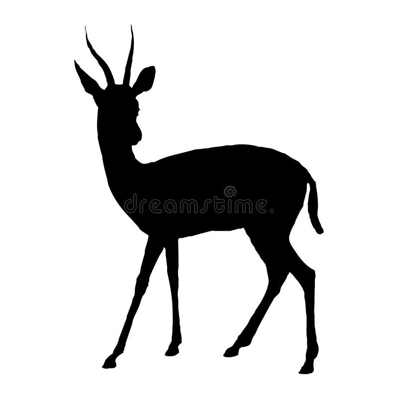 Animal Illustration. Black Gazelle on a White Background. Stock Illustration - Illustration of beautiful, deer: 232748918 Animal Illustration. Black Gazelle on a White Background. Stock Illustration - Illustration of beautiful, deer: 232748918