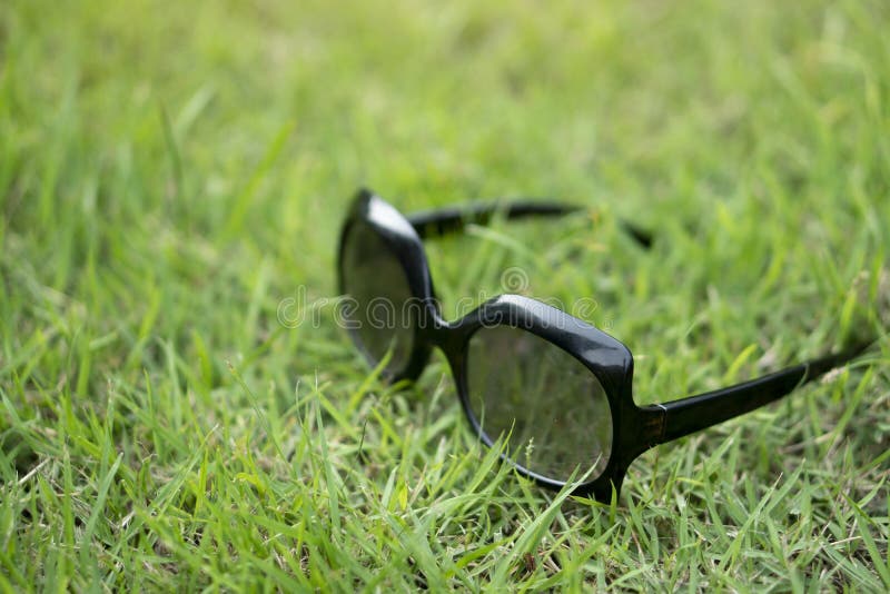 Sunglasses In Bright Green Grass, Summer Accessory Stock Photo - Image ...