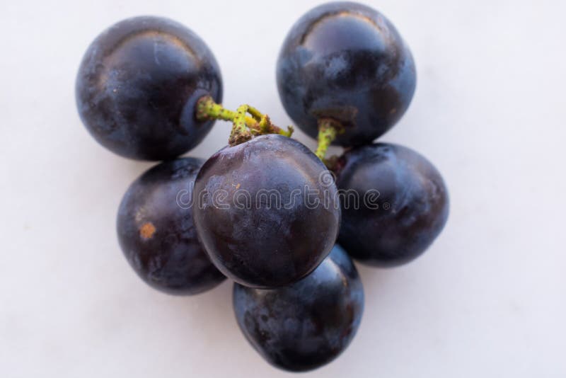 1,960 Black Grape Seed Stock Photos - Free & Royalty-Free Stock Photos