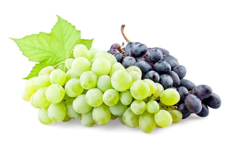 Black and green grapes with leaf