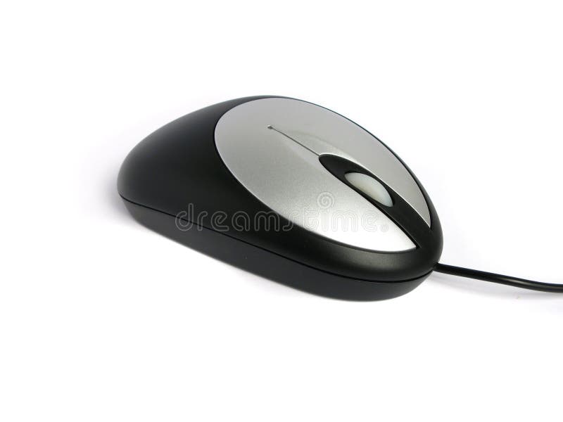 Black and grey mouse