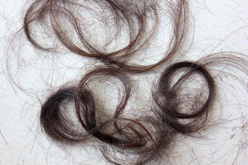 Cut Hair Floor Stock Photos Download 1 323 Royalty Free Photos