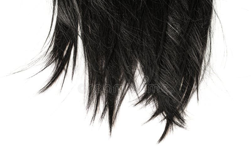 Black Hair Tips Isolated on White Stock Photo - Image of health, shampoo: 188177844 Black Hair Tips Isolated on White Stock Photo - Image of health, shampoo: 188177844