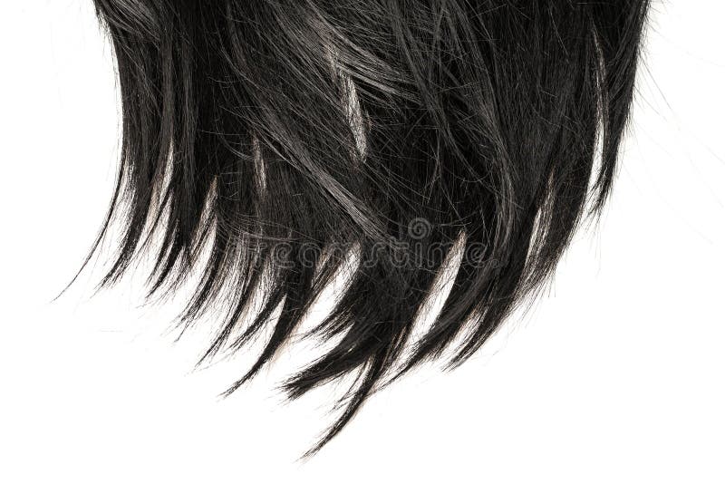 Black Hair Tips Isolated on White Stock Photo - Image of dark, black: 188269632 Black Hair Tips Isolated on White Stock Photo - Image of dark, black: 188269632