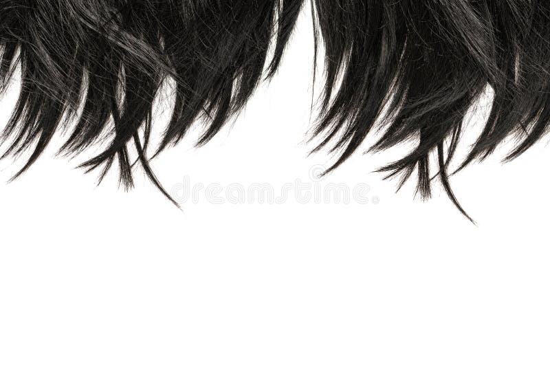 Black Hair Tips Isolated on White Stock Photo - Image of health, shampoo:  188177844