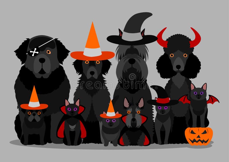 Black halloween dogs and cats group