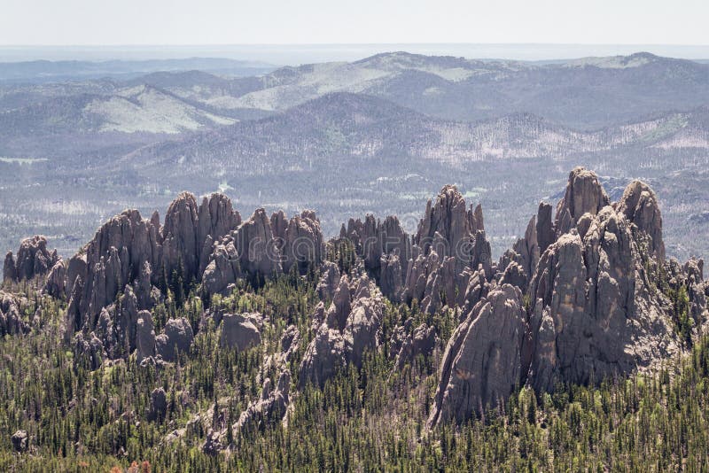 Black Hills, le Dakota du Sud photos libres de droits Black Hills, le Dakota du Sud photos libres de droits