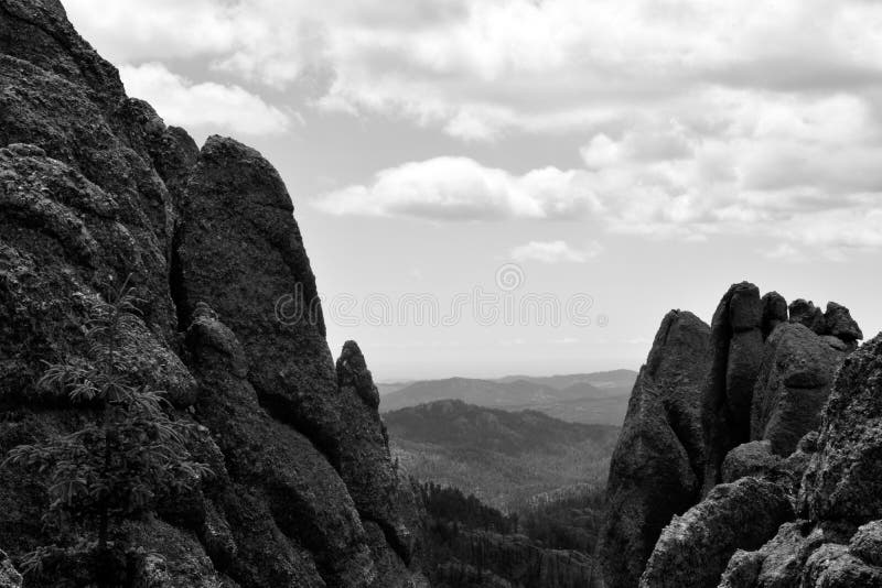 Black Hills Mountain Range 2 Stock Photo Image of range, tree 120439360