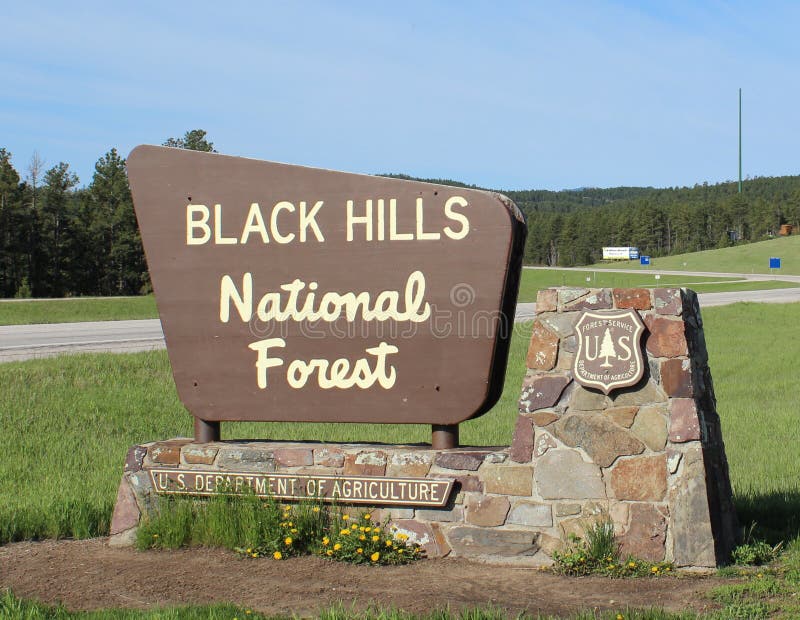 Black Hills National Forest