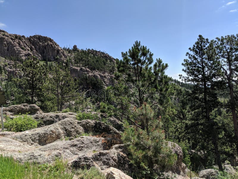 Black Hills Rapid City South Dakota Stock Photo Image of rapid, city