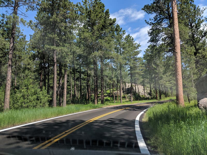 Black Hills Rapid City South Dakota Stock Photo Image of dakota