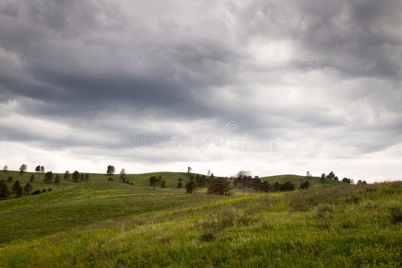 Black Hills South Dakota stock image. Image of storm 124020115