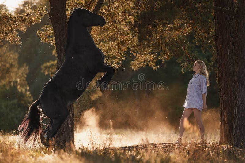 Black horse rearing up in front of beautiful blond young woman standing on ground in sunset sunlight