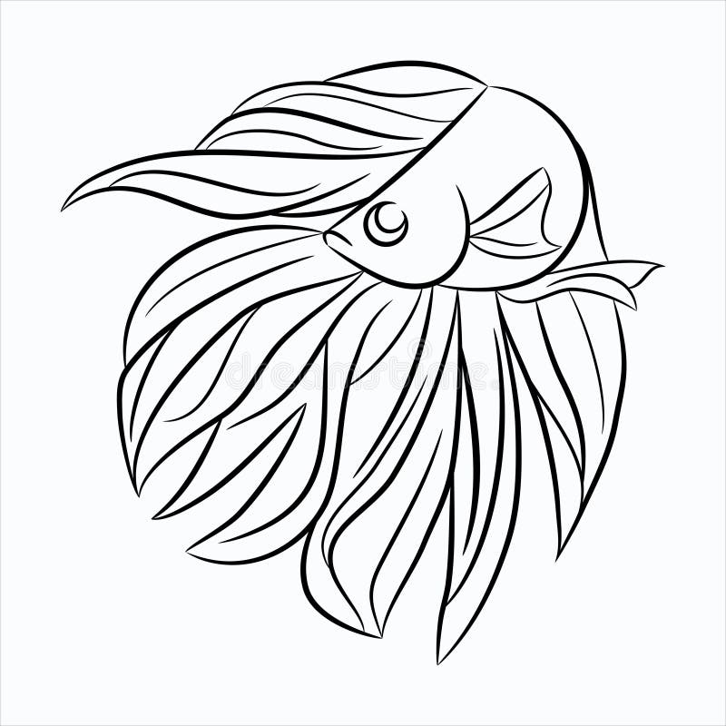 Black Ink Doodle Line Drawing of Siamese Fighting Betta Fish Icon Isolated  on White Background. Stock Vector - Illustration of form, aquarium:  221044288