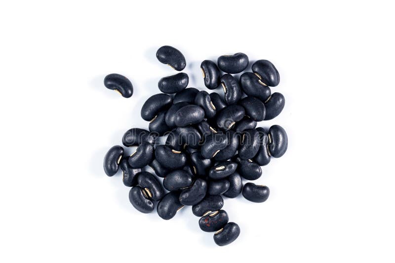 Black Kidney Bean, Black Turtle Beans in Pottery Stock Photo Image of