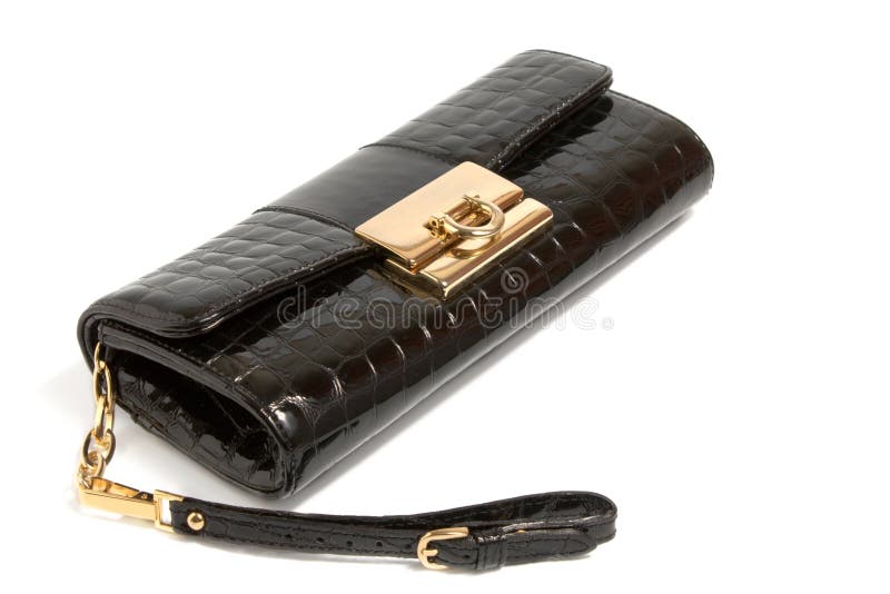 Crocodile Leather Suitcase Skin Bag Stock Photo - Image of shiny, golden:  13448616