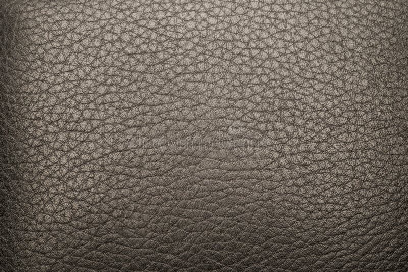 black leather swatch