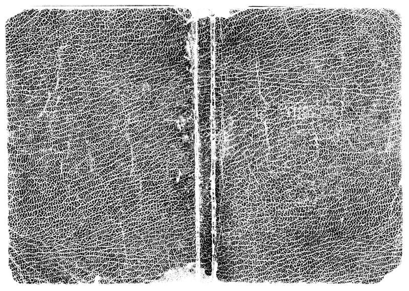 Black Leather texture stock photos