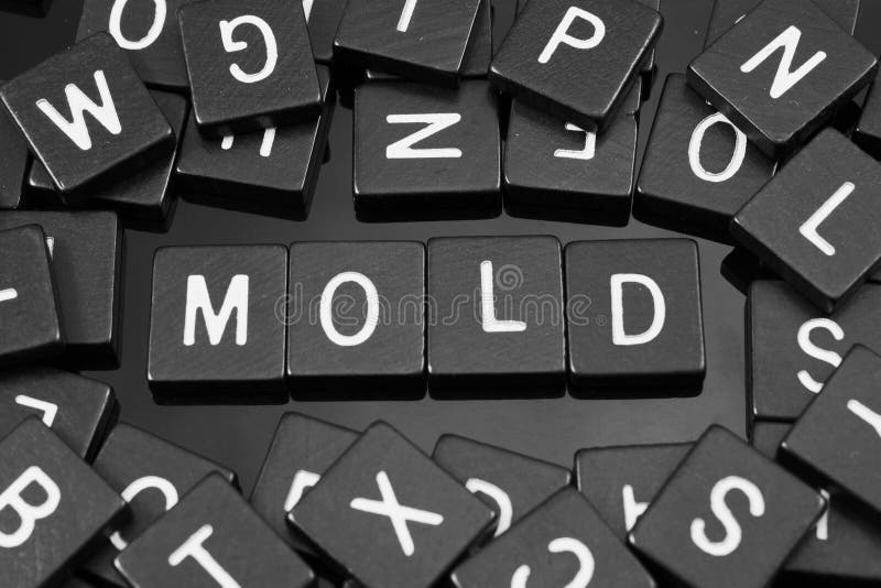 Black Letter Tiles Spelling the Word & X22;mold& X22; Stock Image