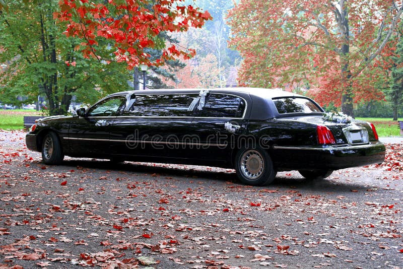 Black Limousine