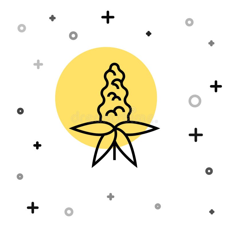 Black line Lupine flower icon isolated on white background. Random dynamic shapes. Vector vector illustration