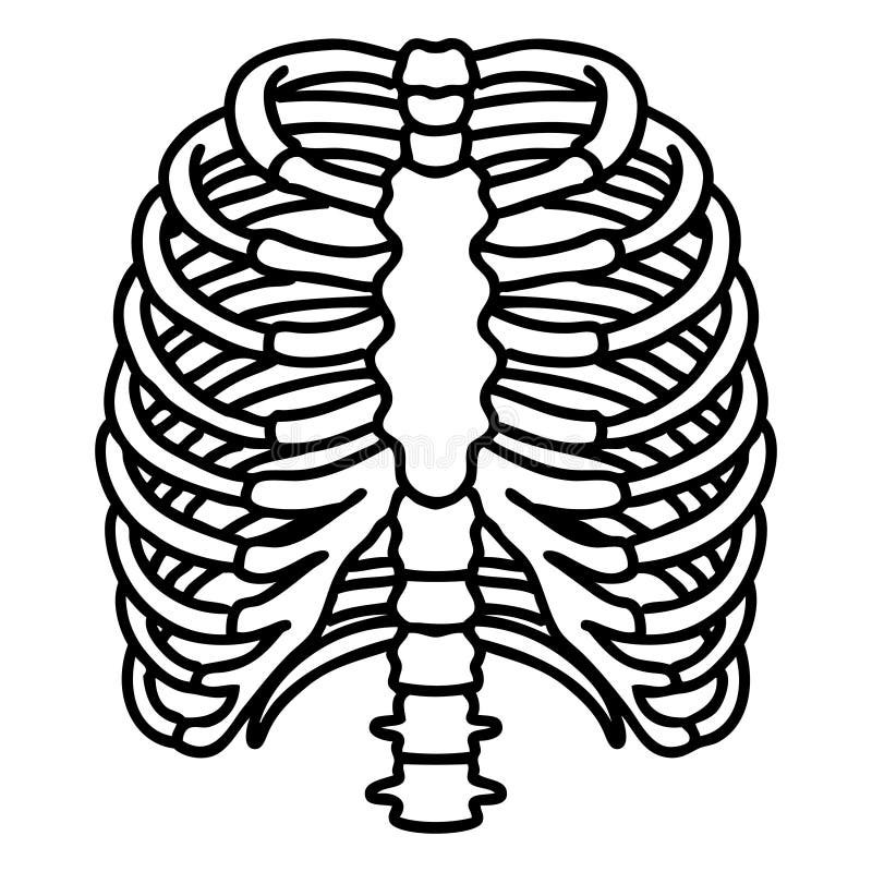 black line tattoo of a rib cage