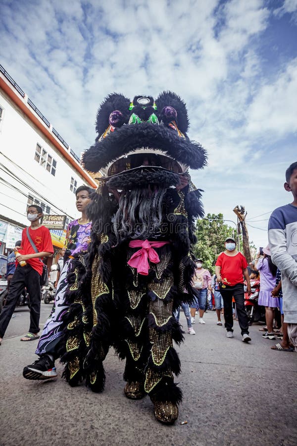 Black lion dance editorial photo. Image of year, person 270730676