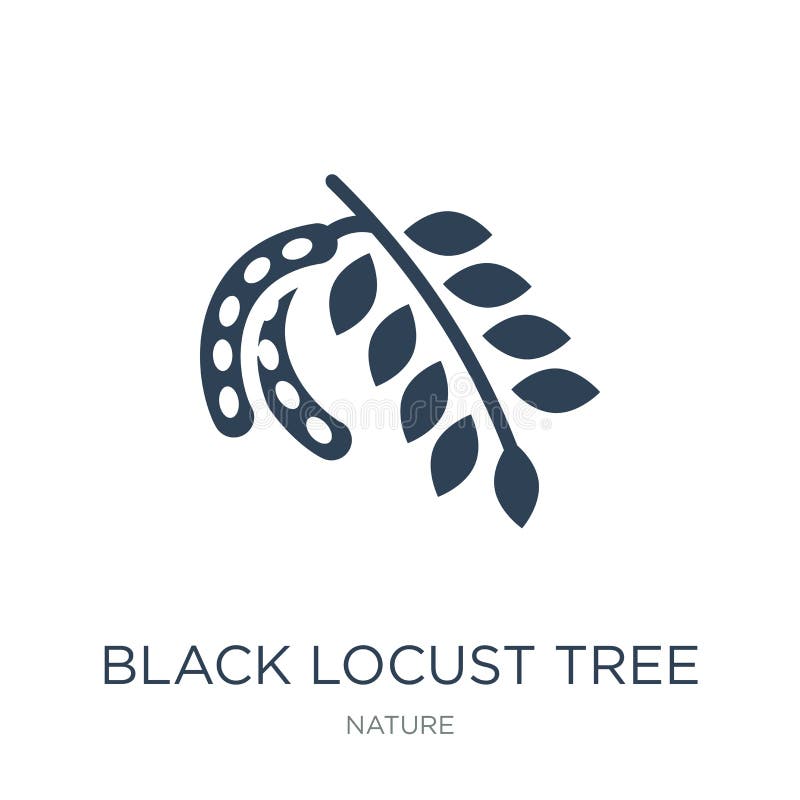 black locust tree icon in trendy design style. black locust tree icon isolated on white background. black locust tree vector icon stock illustration black locust tree icon in trendy design style. black locust tree icon isolated on white background. black locust tree vector icon stock illustration