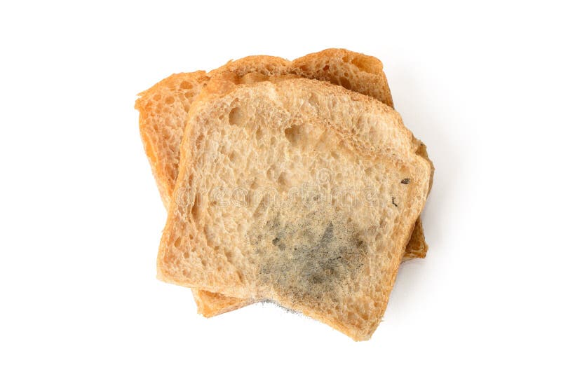 Black mold on a bread stock image. Image of macro, slice - 60096621