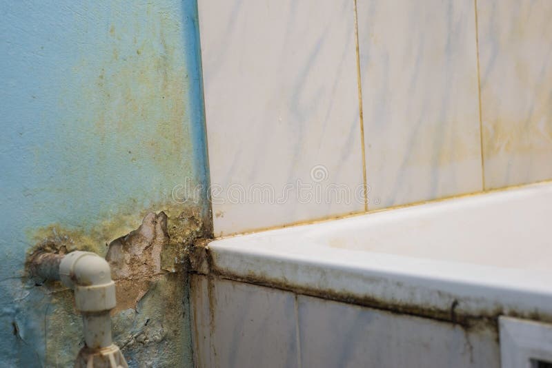 Featured image of post Black Mold On Bathtub - Hot promotions in mold bathtub on aliexpress: