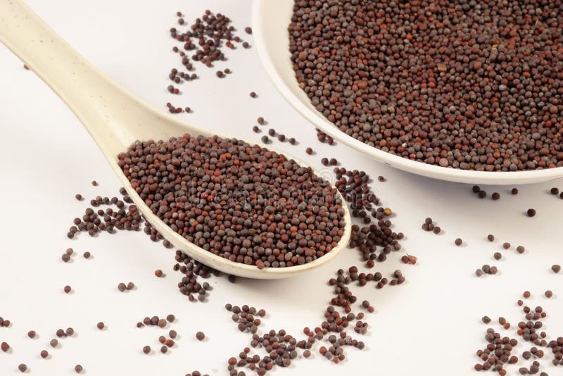 Black Mustard Seeds, Sinapis Nigrae Semen Stock Image Image of herbal