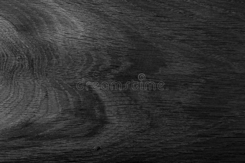 Black Natural Oak Wood. Expensive Ebony. High Quality Texture in Extremely High Resolution