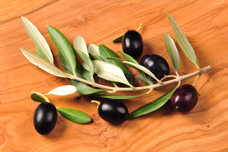 Black olive fruits stock photo. Image of healthiness 17840418